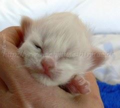 02-04.07-M�dchen 022 Gro�e Webansicht02