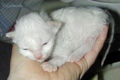 zufriedenHand Gro�e Webansicht02